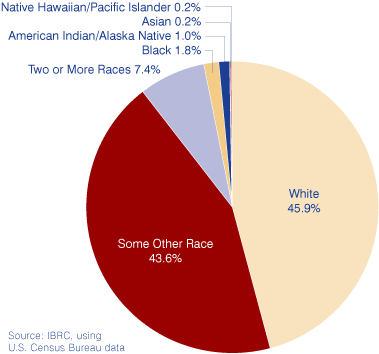 Figure 3: Race of Hoosier Hispanics, Census 2000
