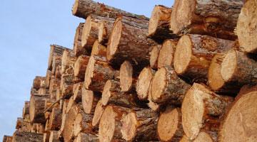 Wood Products Manufacturing Industry