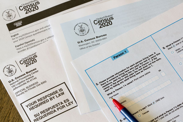 Census 2020 mail items
