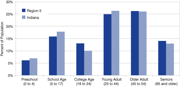 Figure 3: Current Age Structure of Realtors Region 5, 2009