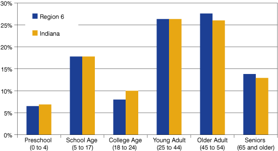 Figure 3: Current Age Structure of Realtors Region 5, 2009