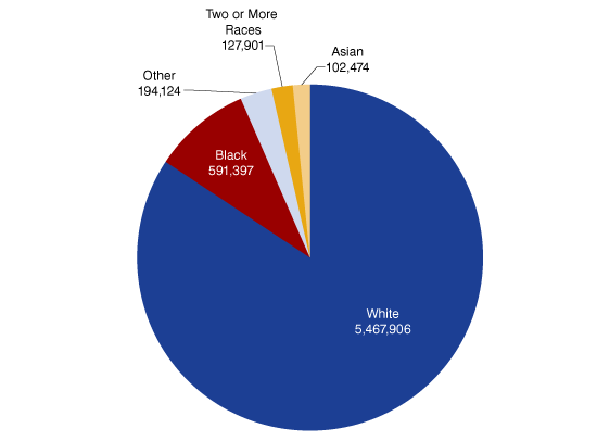 Figure 1: Indiana's Population by Race, 2010