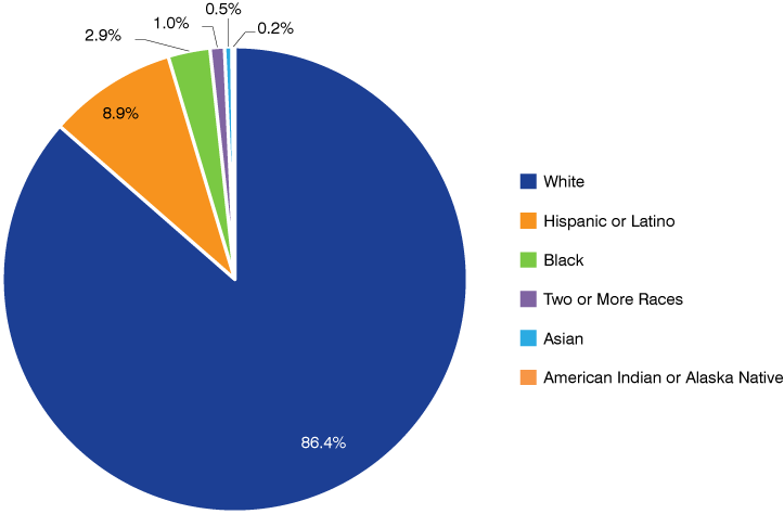 Pie chart showing the racial and ethnic composition of Indiana's construction workforce in 2023.