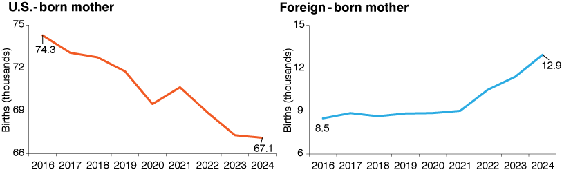 Two side-by-side line graphs showing the number of births in Indiana to U.S.-born mothers and the number of births in Indiana to foreign-born mothers from 2016 to 2024. The U.S.-born number goes from 74,300 in 2016 to 67,100 in 2024 while the foreign-born number goes from 8,500 in 2016 to 12,900 in 2024.